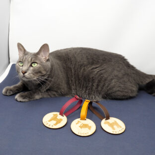 新商品追加–邪魔する天才–