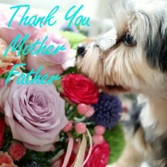 母の日父の日にぴったり！動物好きへの贈り物